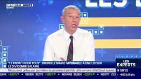 Les Experts : "Le profit pour tous", Bruno Le Maire favorable à une loi sur le dividende salarié - 07/11