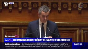 Projet de loi immigration: Gérald Darmanin se dit "ferme mais pas fermé" au Sénat