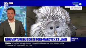 Nord: le zoo de Fort-Mardyck rouvre ce lundi 