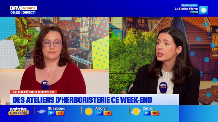 Le Café des Sorties: des ateliers d'herboristerie pour le week-end