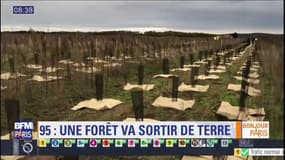 A 25 km de Paris, une forêt d'un million d'arbres va sortir de terre