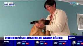 Nord: le chenil de Wavrin suspecté de maltraitance animale