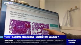 Bientôt un vaccin contre l'asthme allergique ?