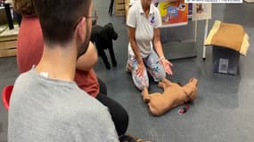 Démonstration de secourisme sur un animal aux Pennes-Mirabeau le 20 juillet 2024