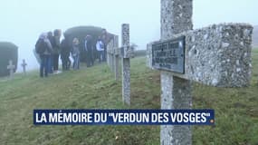 L'Historial est situé sur un massif des Vosges, le Hartmannswillerkopf