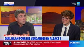 Alsace: le président du syndicat des vignerons indépendants fait le bilan des vendanges