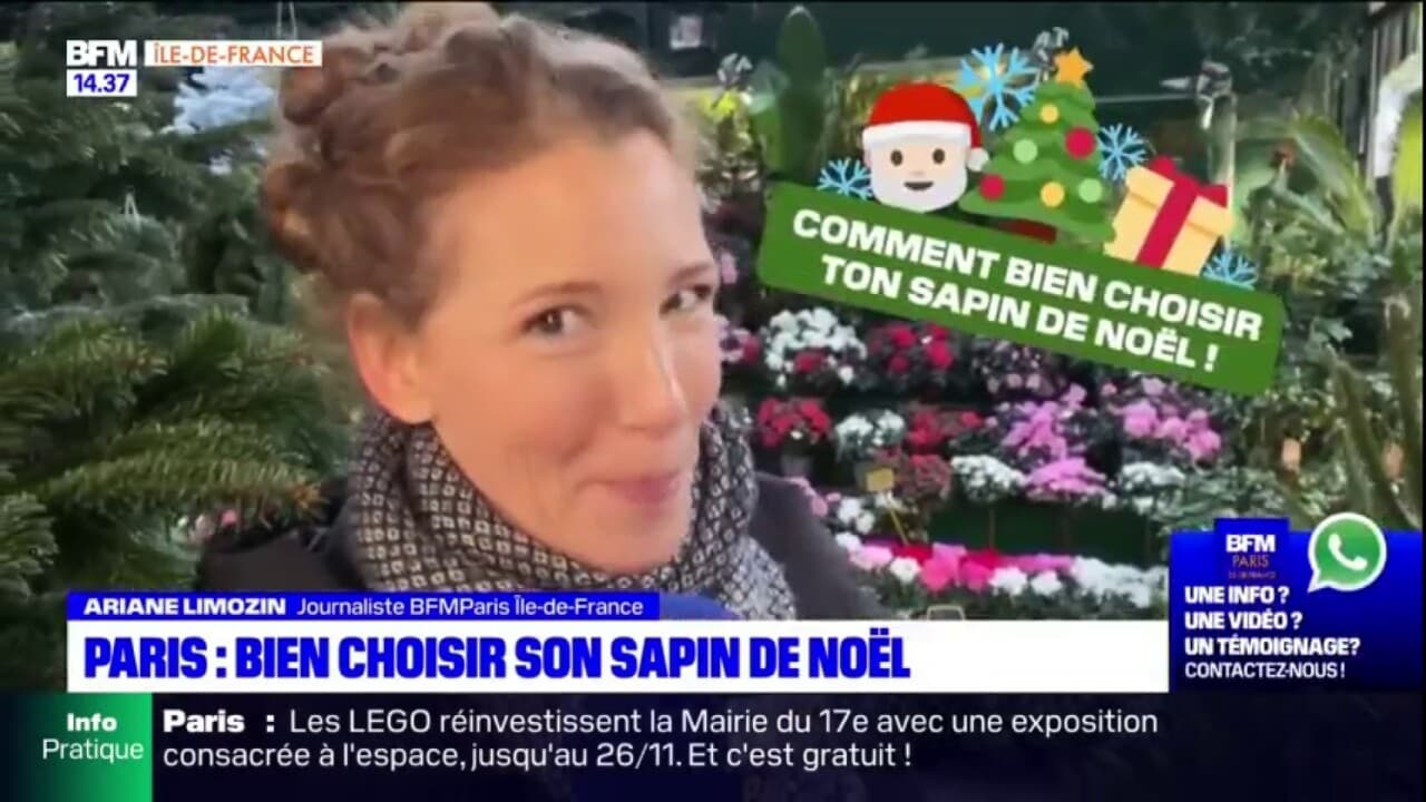 Comment bien choisir ton sapin de Noel?