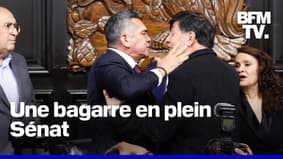Mexique: ces sénateurs en viennent aux mains sur fond de débat sur l’intervention militaire américaine 
