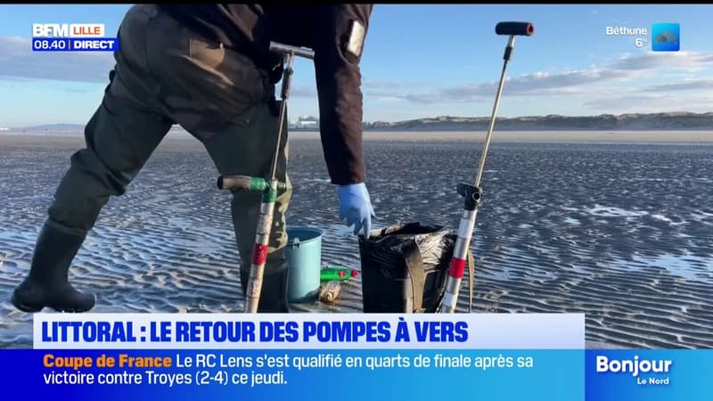 Les pêcheurs à pied peuvent utiliser de nouveau les pompes à vers