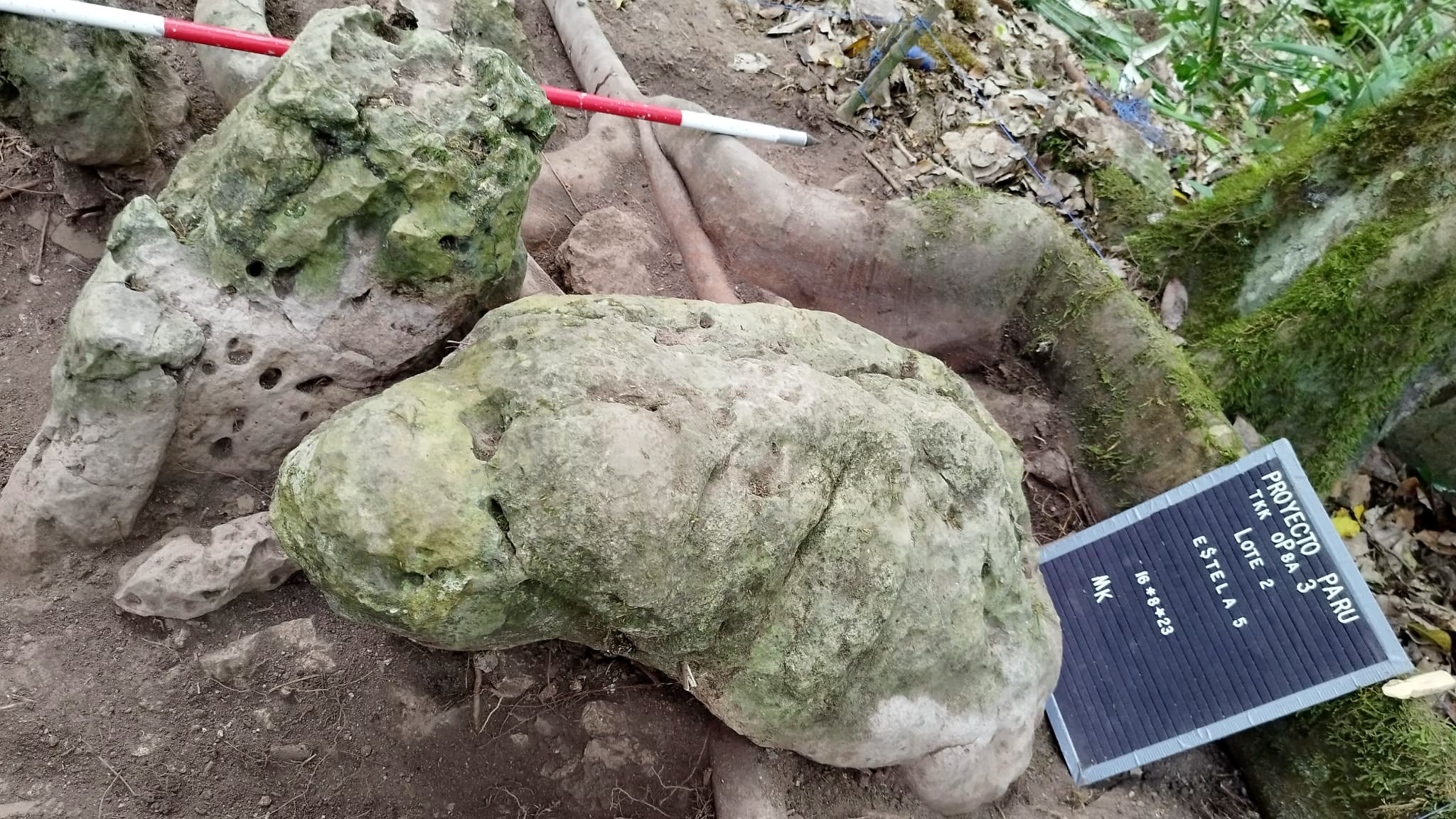 Nach Angaben des guatemaltekischen Ministeriums erhielt die Maya-Stadt, die an der archäologischen Stätte von Uaxactun im Departement Petén entdeckt wurde, ihren Namen von zwei Skulpturen von Menschen, die eine