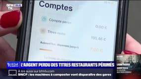 Titres restaurant: les Français perdent chaque année 700 millions d'euros