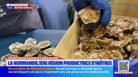 Salon de l'Agriculture: la Normandie, première région productrice d'huîtres