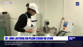 Lyon: ils fabriquent des fromages et des yaourts en plein cœur de la Guillotière