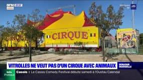 Vitrolles: un cirque avec animaux s'installe sans autorisation 