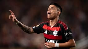 Luiz Araujo célèbre son but lors de la victoire de Flamengo contre l'Espérance de Tunis (2-0, Coupe du monde des clubs), le 16 juin 2025