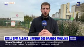 Bas-Rhin: un projet immobilier parmi les options d'avenir des Grands Moulins de Strasbourg