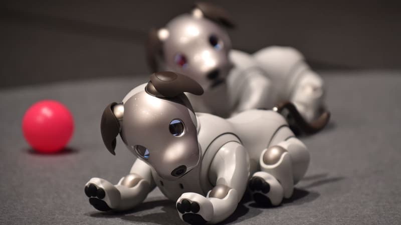 La première version de ce chien robot lancée en 1999 avait été un succès massif