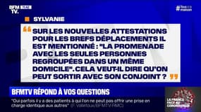 Peut-on sortir avec son conjoint pour les brefs déplacements mentionnés sur les attestations ?
