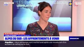 Législatives: qui sont les candidats dans les Alpes du Sud?