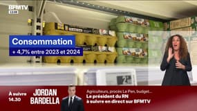 Les œufs en pénurie en raison d'une production insuffisante