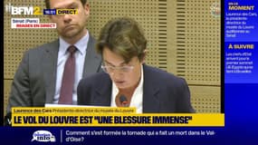Vol de bijoux au Louvre: "Nos agents, je le rappelle, ne sont pas armés",  Laurence des Cars