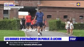 Nord: les Dogues s'entraînent en public à Luchin