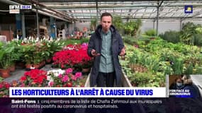 Les horticulteurs à l'arrêt à cause du virus
