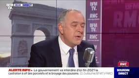 "On n'achète pas un animal comme on achète une glace !" - Didier Guillaume