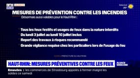 Haut-Rhin: la préfecture prend plusieurs mesures préventives contre les feux de forêt