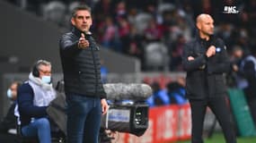 Lille 1-1 Angers : "On doit se mettre à l’abri" regrette Gourvennec
