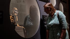Un journaliste examine le modèle squelettique basé sur les fragments osseux de l'ancêtre humain Australopithecus afarensis 'Lucy', découvert en Éthiopie, au Musée national tchèque de Prague, le 25 août 2025.