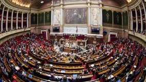 L'hémicycle de l'Assemblée nationale (Illustration)