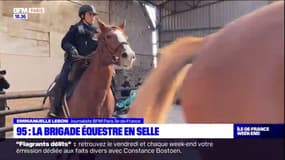 Val-d'Oise: une nouvelle brigade équestre pour la police nationale