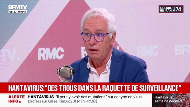 Hantavirus: 