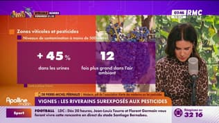 Vignes : les riverains surexposés aux pesticides