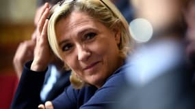 Marine Le Pen à l'Assemblée nationale, le 14 novembre 2018.