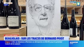 L'été chez nous: sur les traces de Bernard Pivot dans le Beaujolais