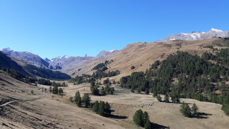 Le Lac de Trécolpas et mont Pélago, à 2768 mètres d'altitude, parc du Mercantour, Alpes-Maritimes, France
