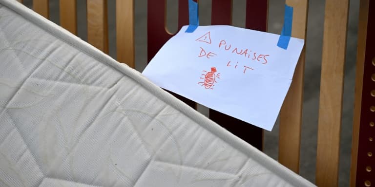 Un matelas contaminé par des punaises de lit jeté dans la rue à Marseille, le 3 octobre 2023. Photo d'illustration
