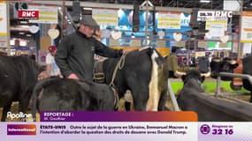 Agriculture: faut-il moins de normes environnementales pour produire plus? 