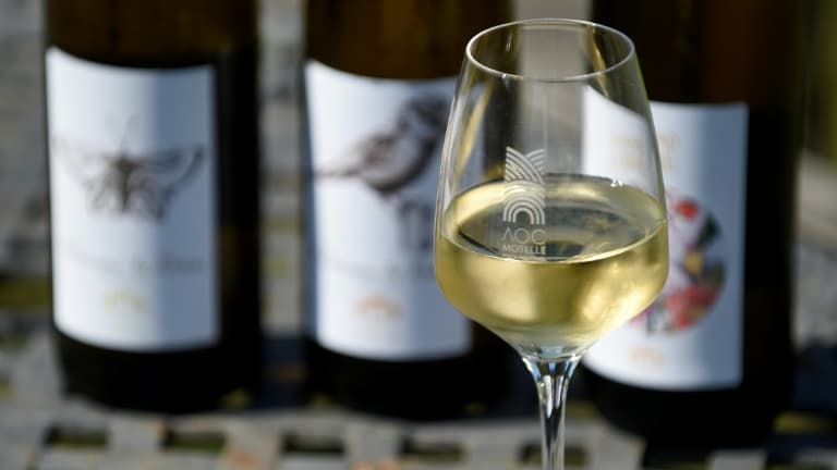 Un verre de vin blanc d'une AOC de Moselle du domaine  "Les Beliers", à  Ancy-sur-Moselle (est), le 19 juillet 2021