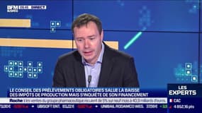 Les Experts: Le Conseil des prélèvements obligatoires salue la baisse des impôts de production - 15/10