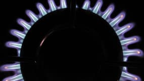 Le nouveau système de fixation mensuelle des tarifs du gaz en France sera mis en oeuvre à partir du 1er février, selon le PDG de GDF Suez Gérard Mestrallet. Les tarifs appliqués aux ménages français ont augmenté de 2,4% le 1er janvier. La réforme présenté