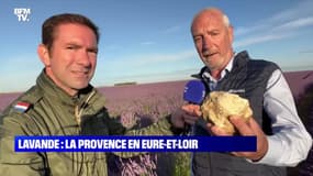 Lavande: la Provence en Eure-et-Loir - 29/06