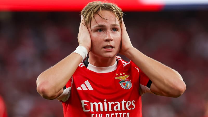 Un international norvégien condamné à de la prison pour avoir partagé des images à caractère sexuel impliquant des mineurs