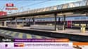 Punaises de lit: la psychose dans les transports