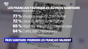 Pass sanitaire : pourquoi les Français valident - 23/08