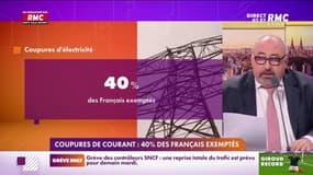 Coupures de courant: 40% des Français exemptés 