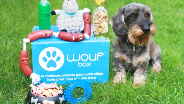 La Woufbox, une des innovations destinées à l'alimentation du meilleur ami de l'homme.