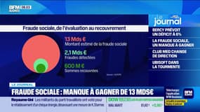 Fraude sociale : manque à gagner de 13 milliards d'euros